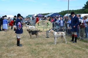 1771330776_1771330776_dunster-country-fair-2016-109