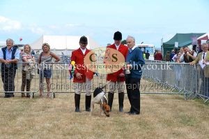 1771330778_1771330778_dunster-country-fair-2016-111