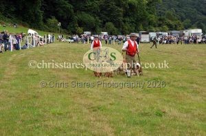 1771330786_1771330786_dunster-country-fair-2016-117