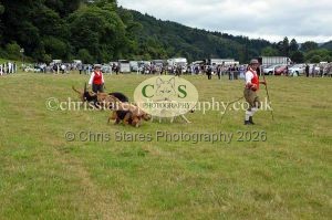 1771330787_1771330787_dunster-country-fair-2016-118