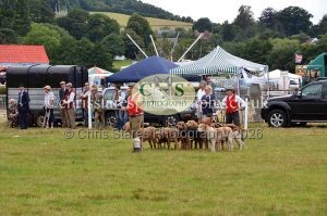 1771330792_1771330792_dunster-country-fair-2016-122