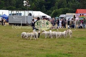 1771330796_1771330796_dunster-country-fair-2016-125