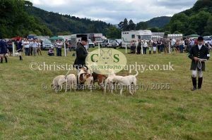 1771330801_1771330801_dunster-country-fair-2016-129