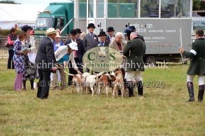 1771330809_1771330809_dunster-country-fair-2016-135