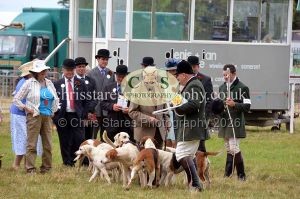 1771330810_1771330810_dunster-country-fair-2016-136