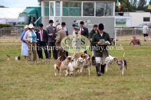 1771330812_1771330812_dunster-country-fair-2016-137