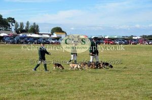 1771330816_1771330816_dunster-country-fair-2016-140