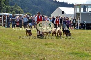 1771330817_1771330817_dunster-country-fair-2016-141