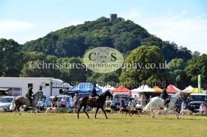 1771330820_1771330820_dunster-country-fair-2016-143