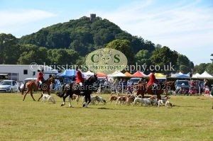 1771330822_1771330822_dunster-country-fair-2016-145