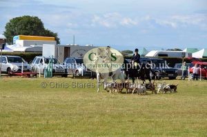 1771330823_1771330823_dunster-country-fair-2016-146