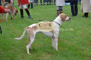 1771330168_1771330168_csc-9134