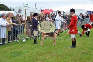 1771330169_1771330169_csc-9141