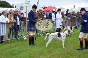 1771330170_1771330170_csc-9144