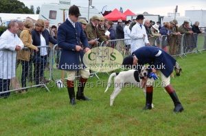 1771330172_1771330172_csc-9146