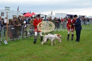 1771330173_1771330173_csc-9149