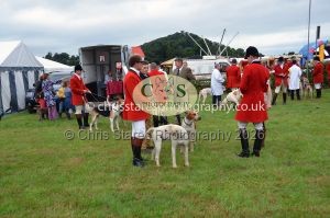 1771330176_1771330176_csc-9159