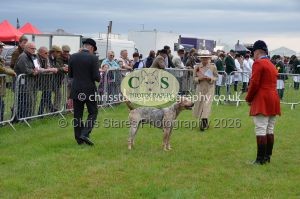 1771330178_1771330178_csc-9163