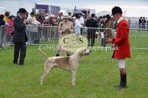 1771330179_1771330179_csc-9165