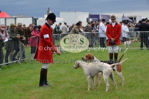 1771330184_1771330184_csc-9177