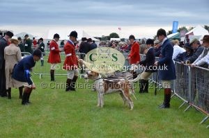 1771330185_1771330185_csc-9181