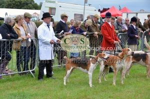 1771330187_1771330187_csc-9182