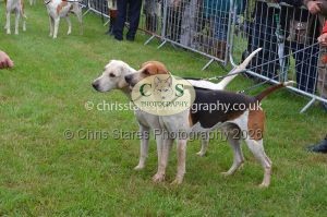 1771330190_1771330190_csc-9187