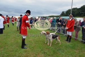 1771330191_1771330191_csc-9188