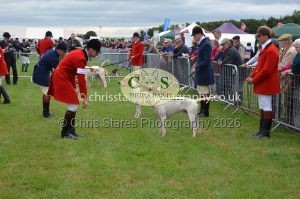 1771330193_1771330193_csc-9196