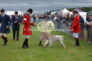 1771330195_1771330195_csc-9198