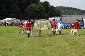 1771330197_1771330197_csc-9202e