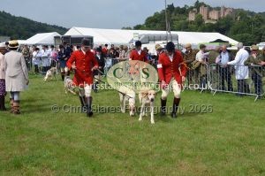 1771330203_1771330203_csc-9215