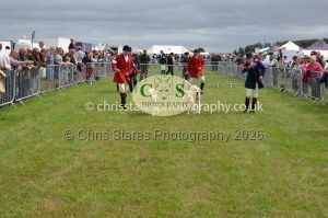 1771330209_1771330209_csc-9224