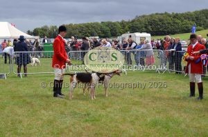 1771330217_1771330217_csc-9241