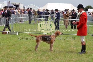 1771330222_1771330222_csc-9253e