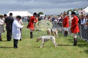 1771330227_1771330227_csc-9264