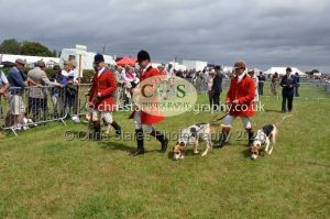 1771330233_1771330233_csc-9280