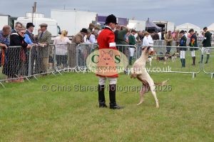 1771330239_1771330239_csc-9289