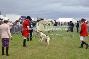 1771330242_1771330242_csc-9291