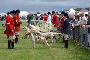 1771330245_1771330245_csc-9295