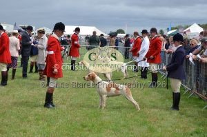 1771330246_1771330246_csc-9296