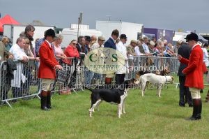 1771330248_1771330248_csc-9299