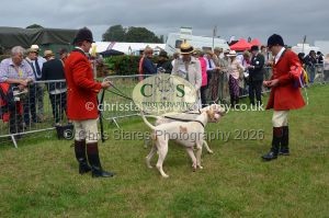 1771330252_1771330252_csc-9309