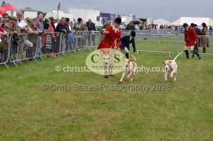 1771330254_1771330254_csc-9312