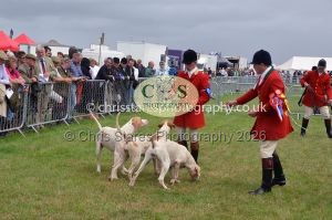 1771330255_1771330255_csc-9313