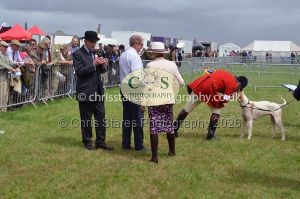 1771330263_1771330263_csc-9329