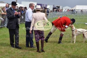 1771330265_1771330265_csc-9330