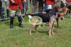 1771330268_1771330268_csc-9343