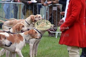 1771330271_1771330271_csc-9346