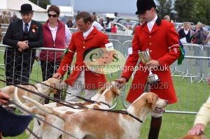 1771330272_1771330272_csc-9349